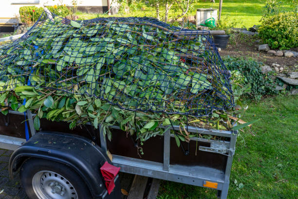 Best Electronics and E-Waste Disposal  in Lake Dalecarlia, IN